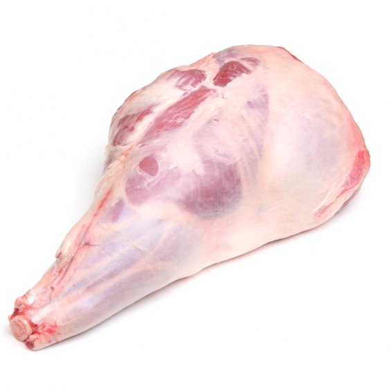 Lamb